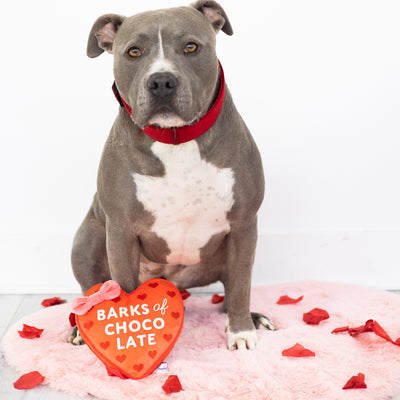 barks of chocolate dog toy