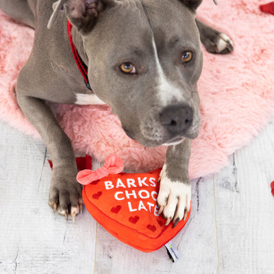 barks of chocolate dog toy