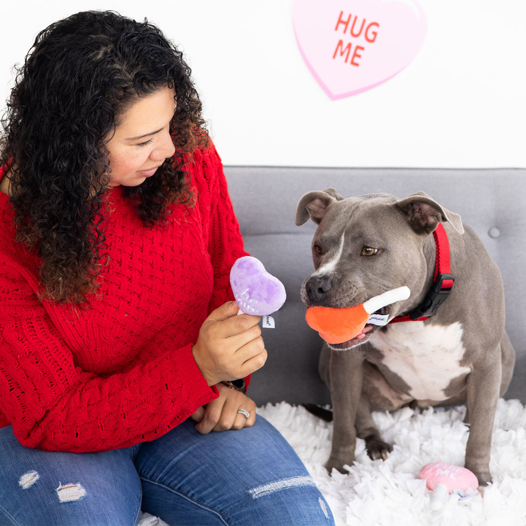 Toys dogs love on sale