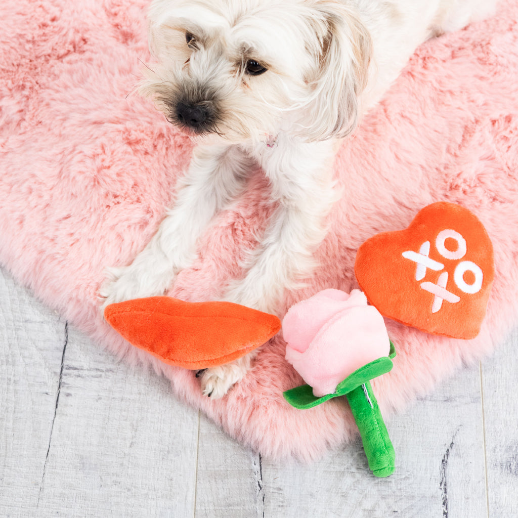 yappy valentine's dog toy set