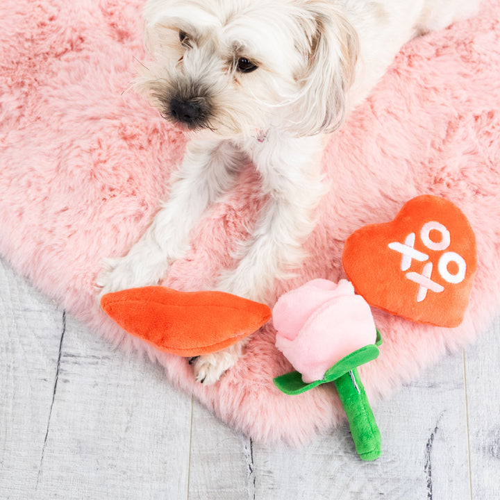 yappy valentine s dog toy set Pearhead