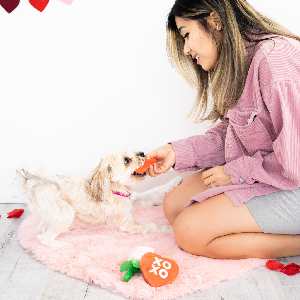 yappy valentine's dog toy set