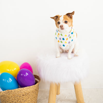 easter egg pet bandana (s/m)