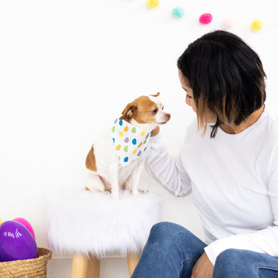 easter egg pet bandana (s/m)