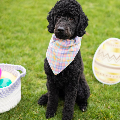 plaid pet bandana (m/l)