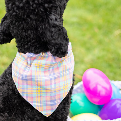 plaid pet bandana (m/l)