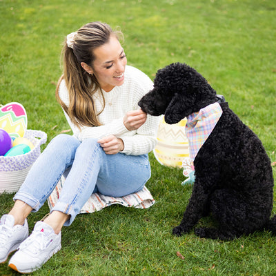 plaid pet bandana (m/l)