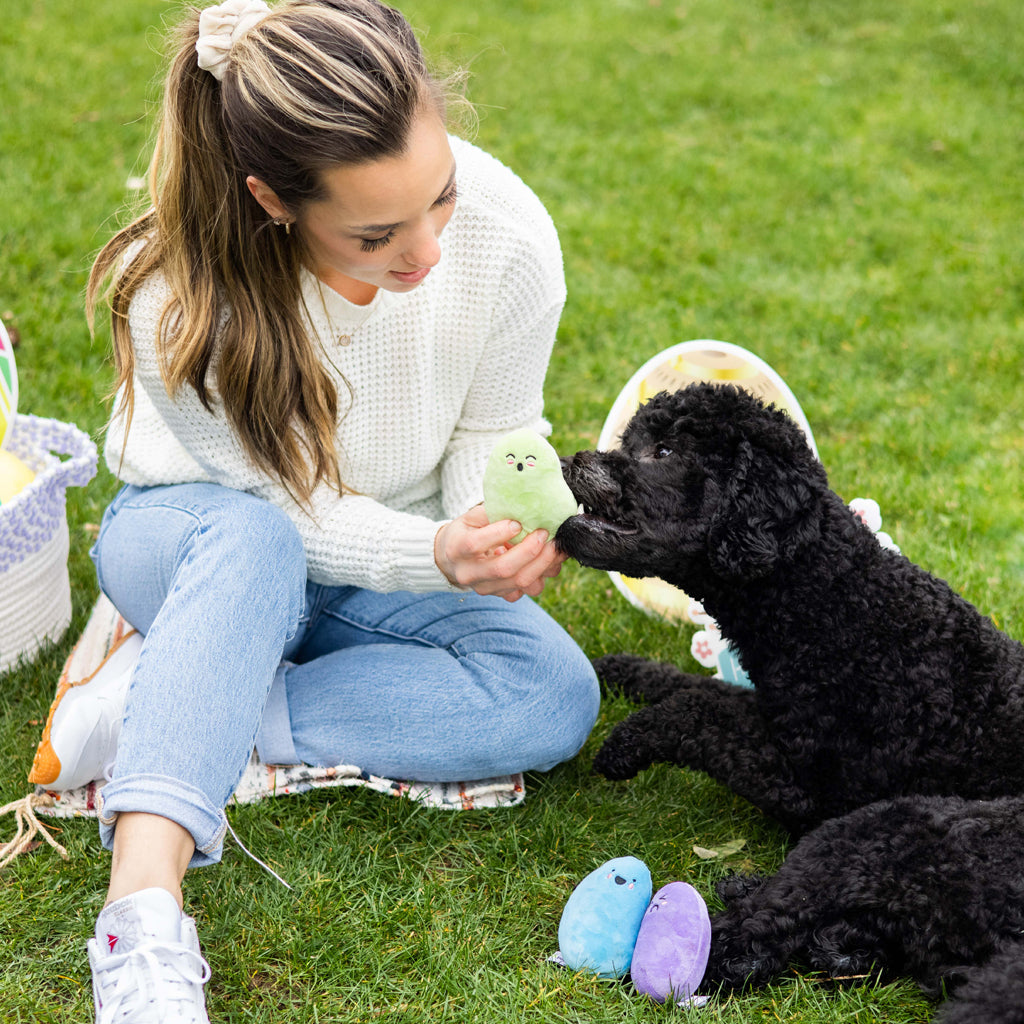jelly beans dog toy set