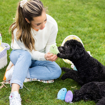 jelly beans dog toy set