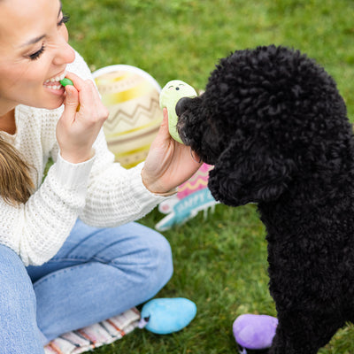 jelly beans dog toy set