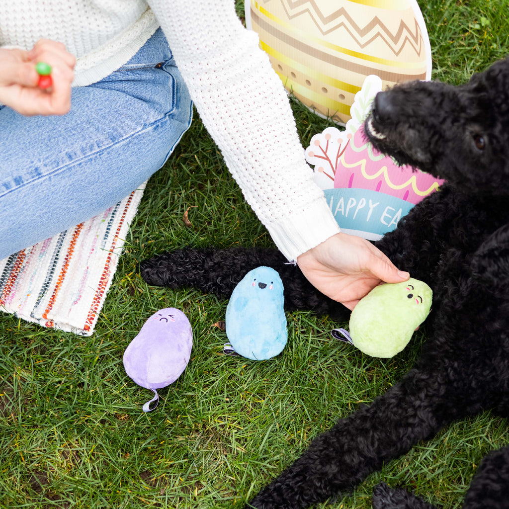 jelly beans dog toy set