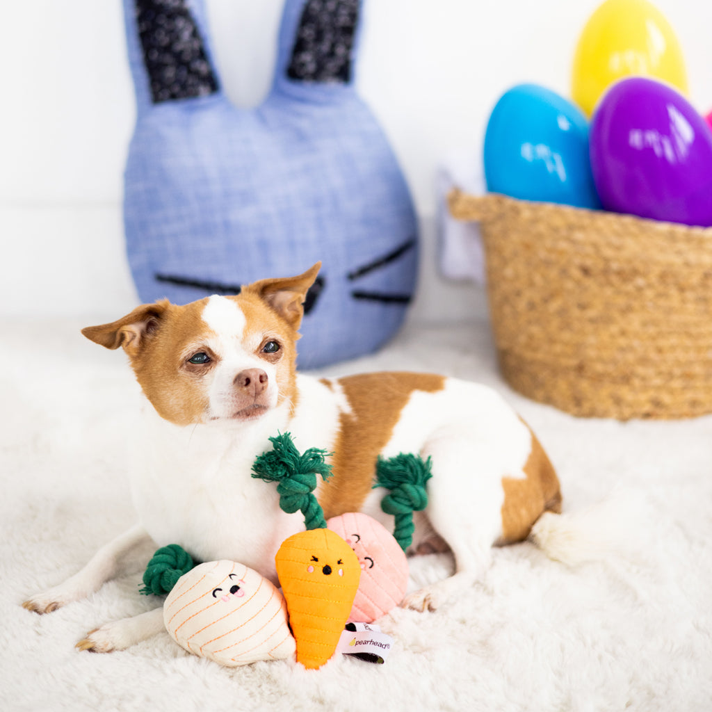 Plush Dog Toy Easter Dog Easter Basket Unique Dog Toys 