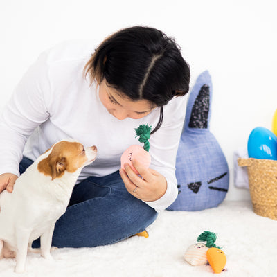 spring veggies dog toy set