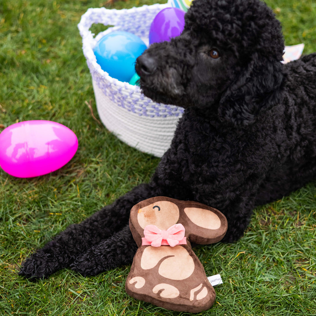 chocolate bunny dog toy