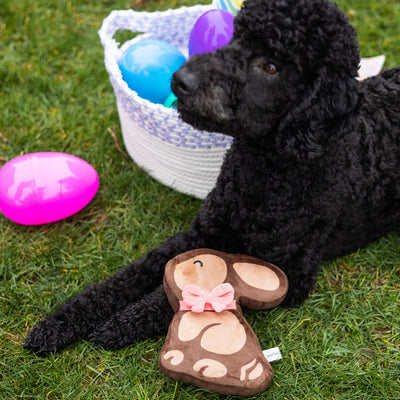 chocolate bunny dog toy