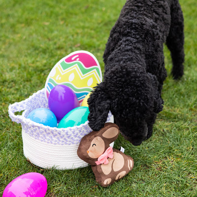 chocolate bunny dog toy