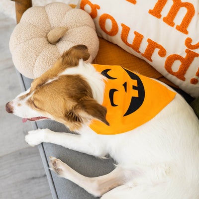 pumpkin pet bandana (m/l)