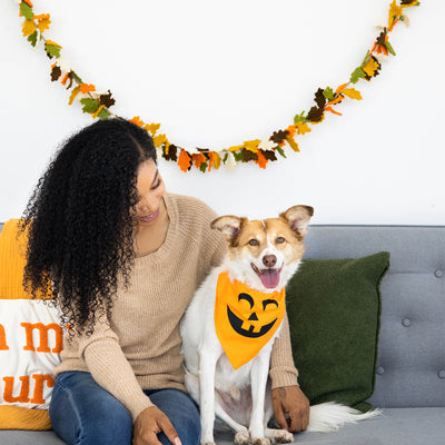 pumpkin pet bandana (m/l)