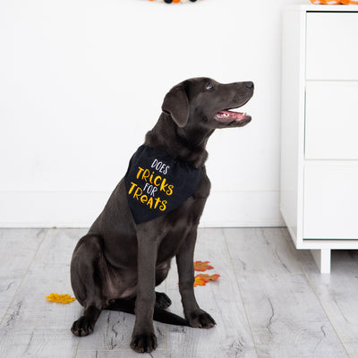 tricks for treats pet bandana (s/m)