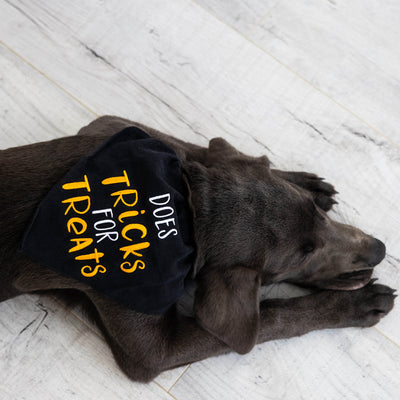 tricks for treats pet bandana (s/m)