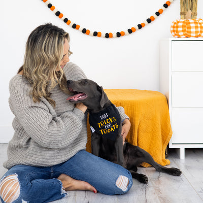 tricks for treats pet bandana (s/m)
