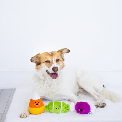 trick or treat dog toy set