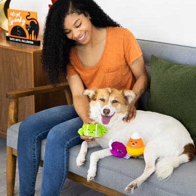 trick or treat dog toy set