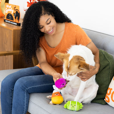 trick or treat dog toy set
