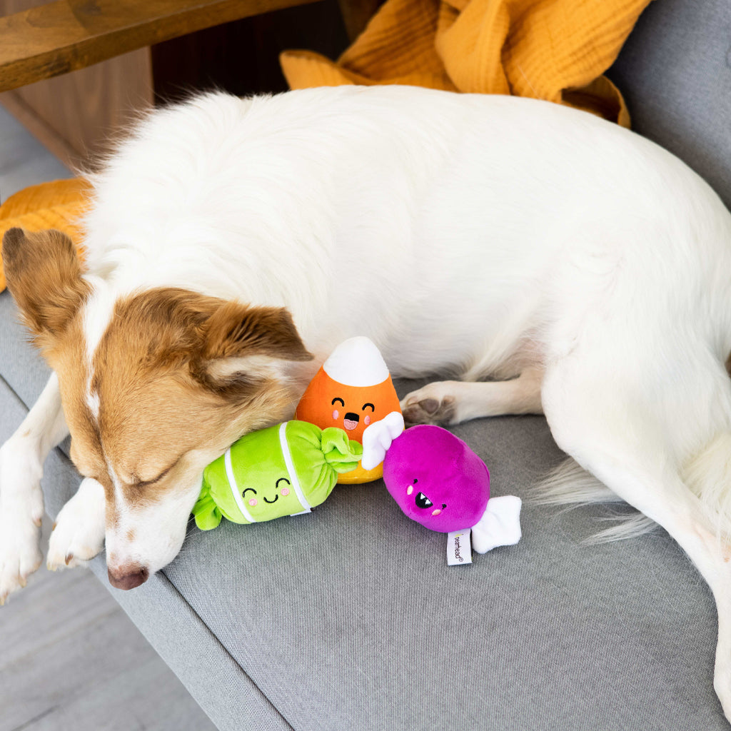 trick or treat dog toy set