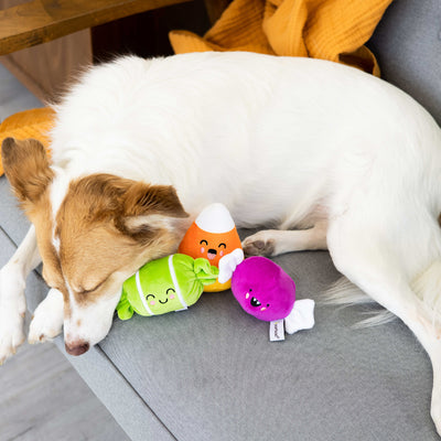 trick or treat dog toy set