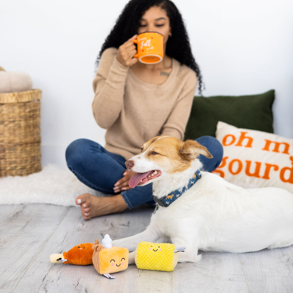 thanksgiving dinner dog toy set