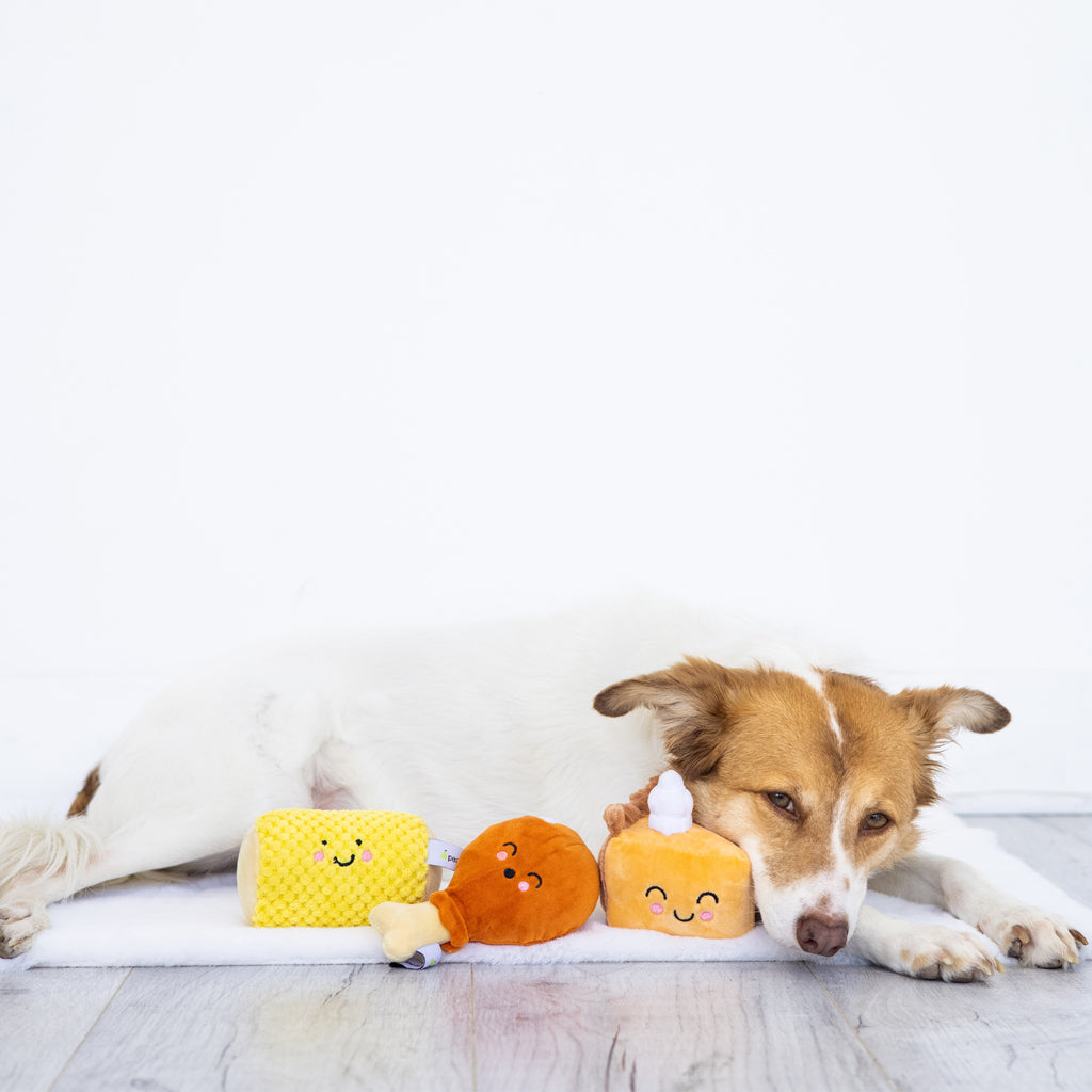 thanksgiving dinner dog toy set