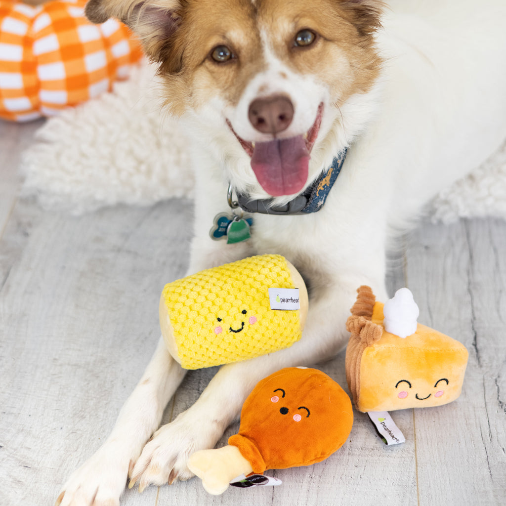 thanksgiving dinner dog toy set