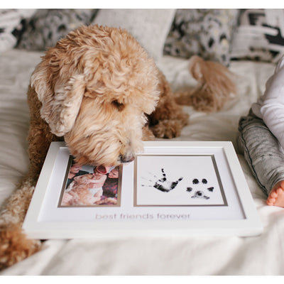 pearhead's our prints frame
