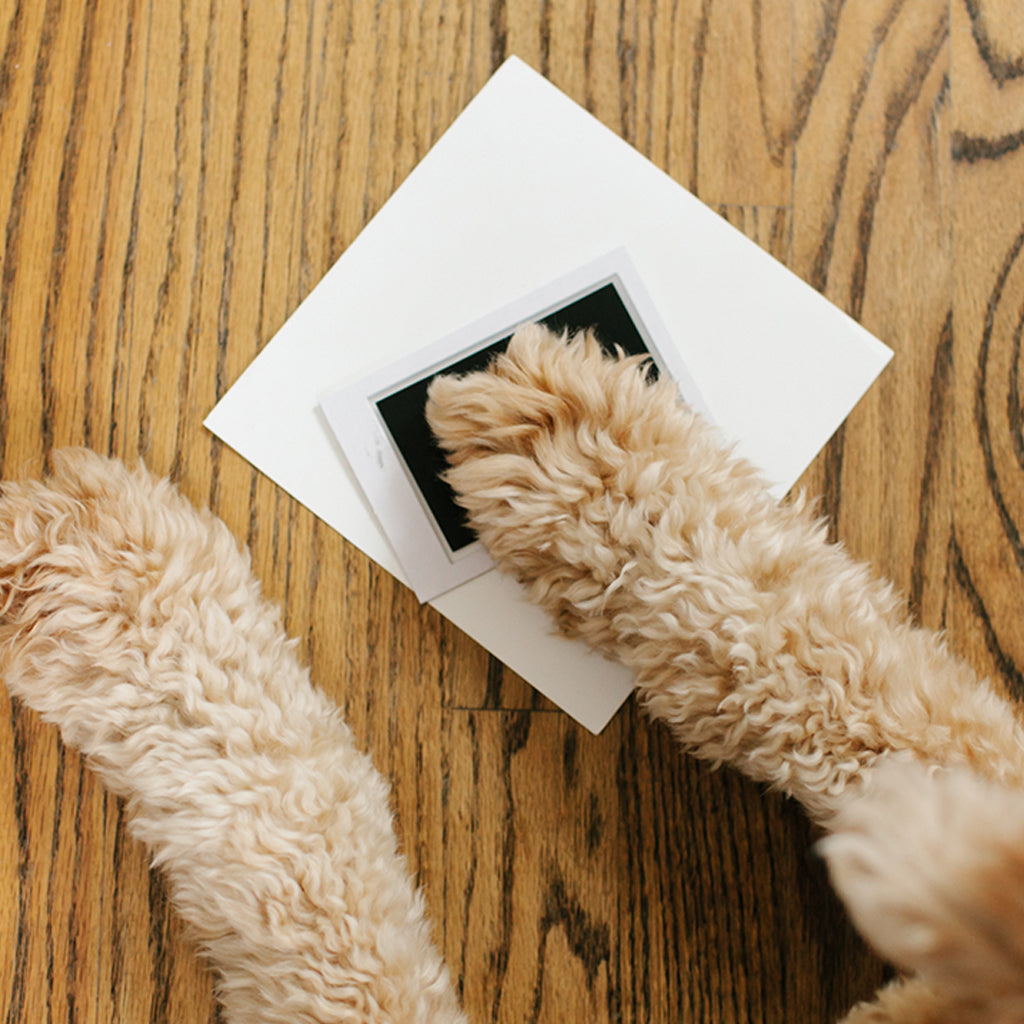 pearhead's our prints frame
