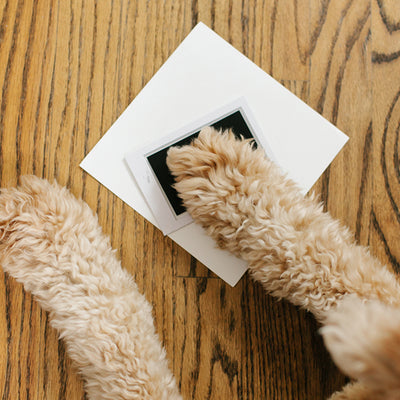 pearhead's our prints frame