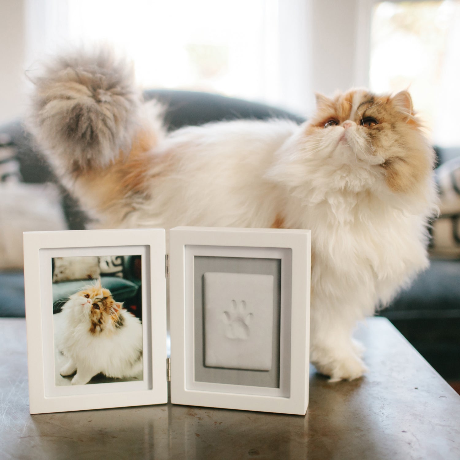Pet Study Frame pet desk frame – Pearhead