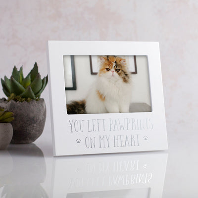 pearhead's sentiment frame