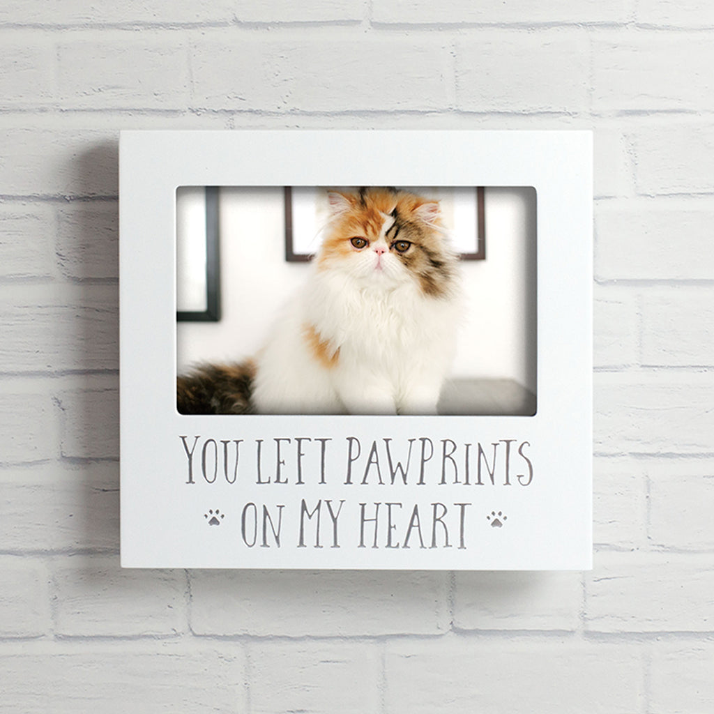 pearhead's sentiment frame