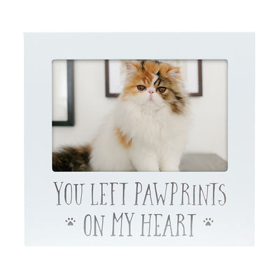 pearhead's sentiment frame