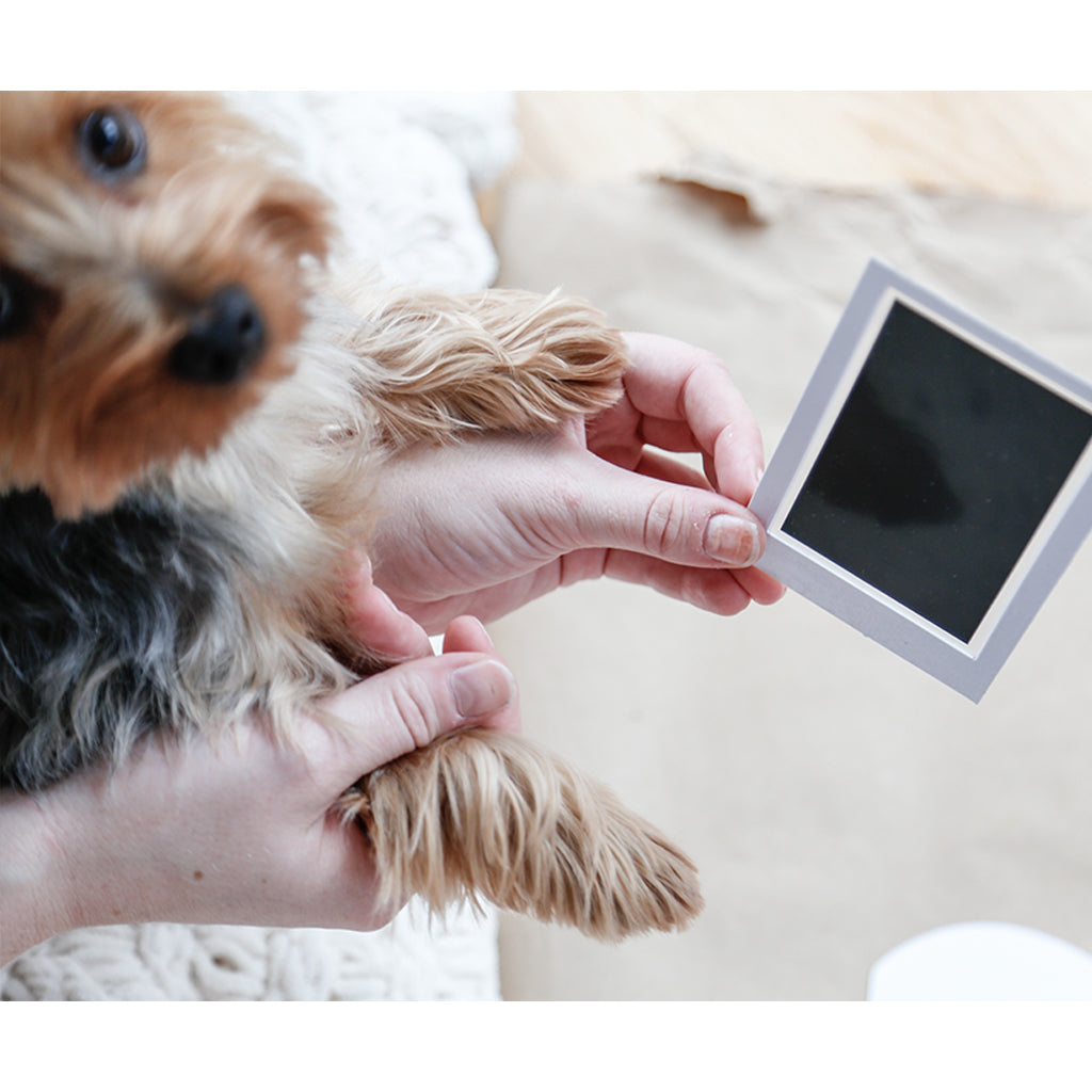 Clean touch ink pad pet online