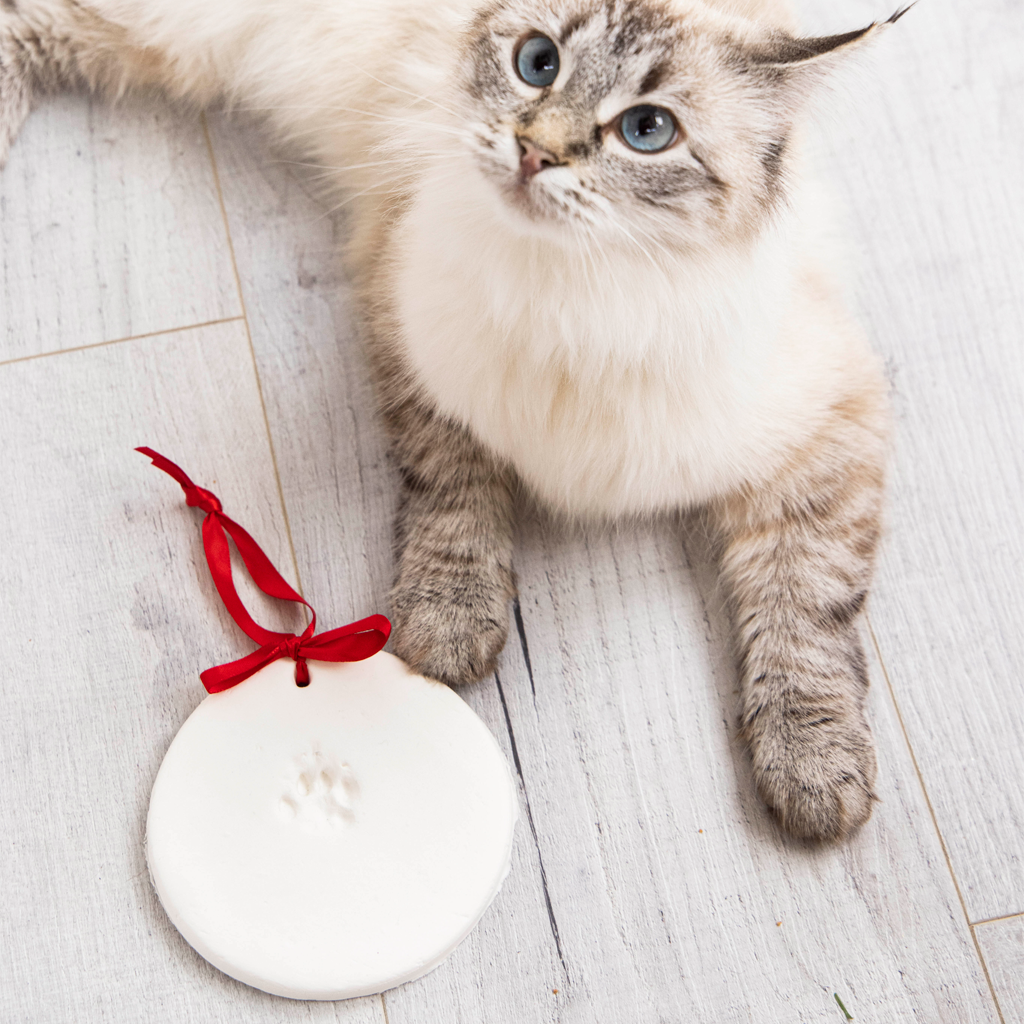 pawprints ornament - 2 pack