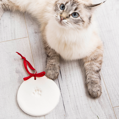 pawprints ornament - 2 pack