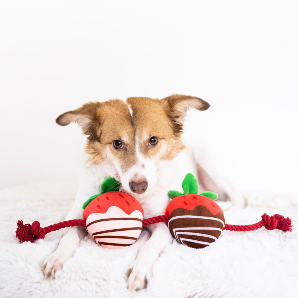 Strawberry Interactive Dog Chew Toy