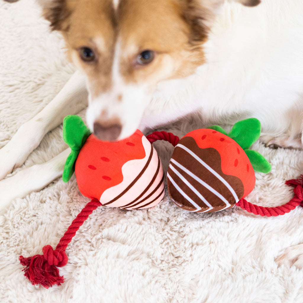 Chocolate covered strawberry dog toy top