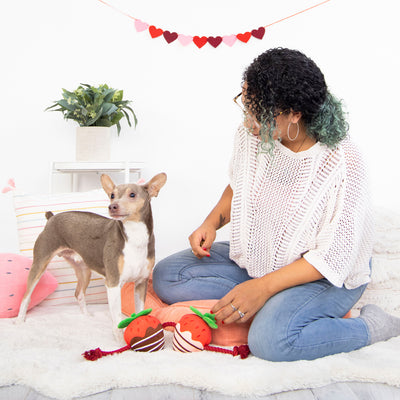 you're berry cute dog toy