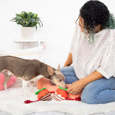 you're berry cute dog toy