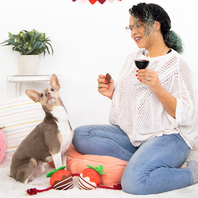 you're berry cute dog toy
