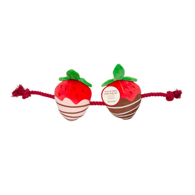 you're berry cute dog toy