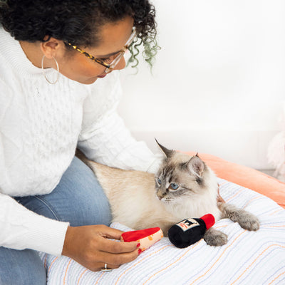 wine and cheese cat toy set